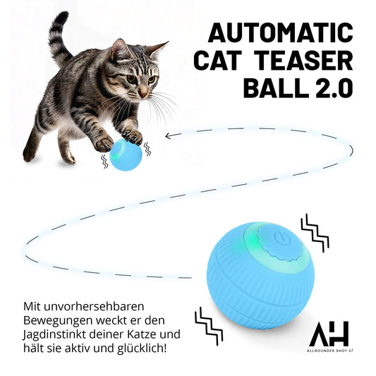 Katzen-Ball