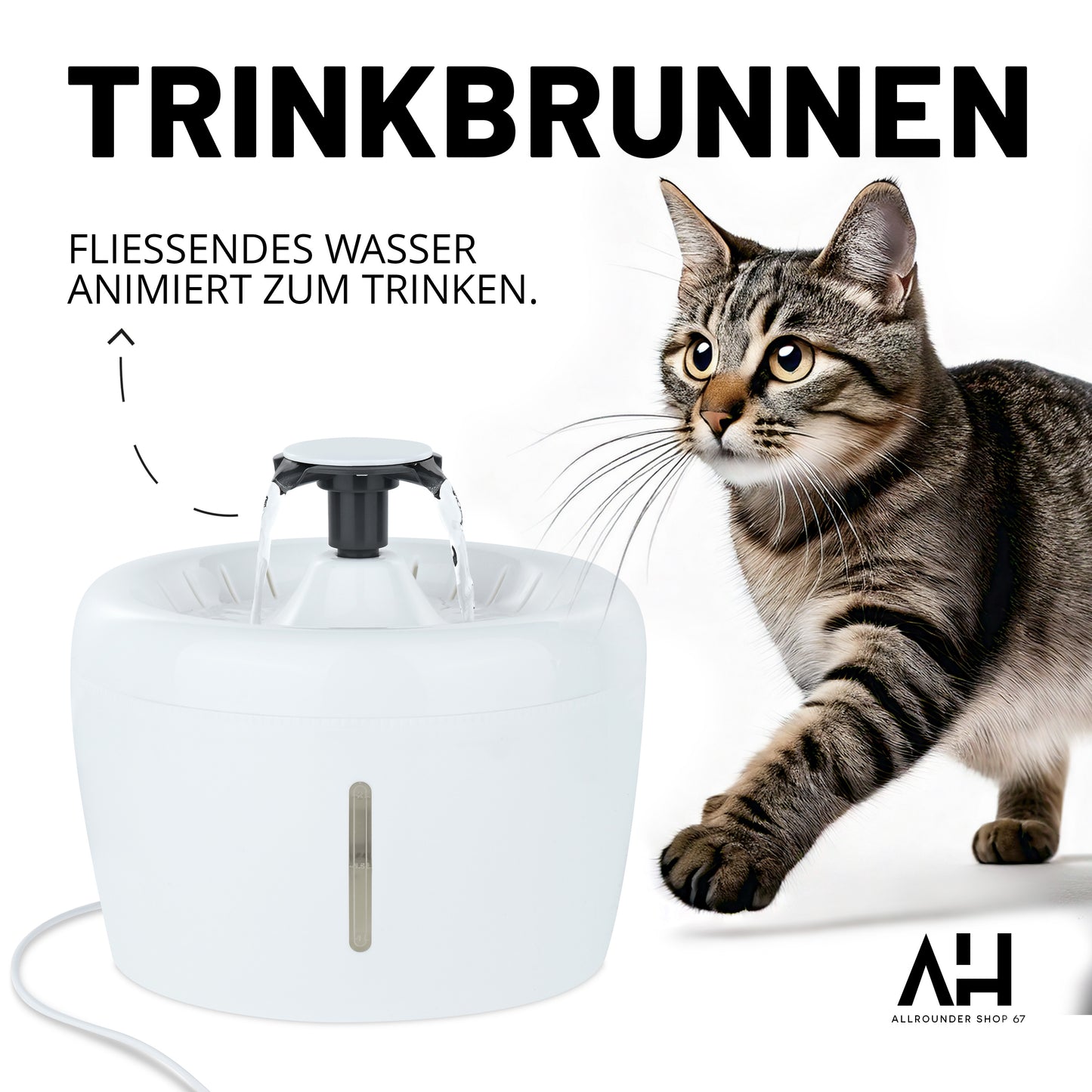 Katzentrinkbrunnen